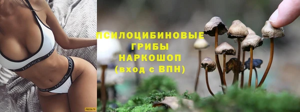 Альфа ПВП Богородск