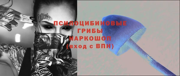 бошки Богданович