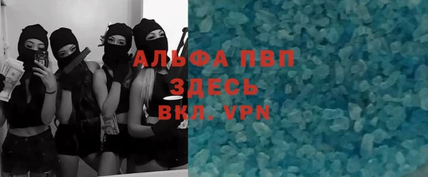 гашик Снежногорск